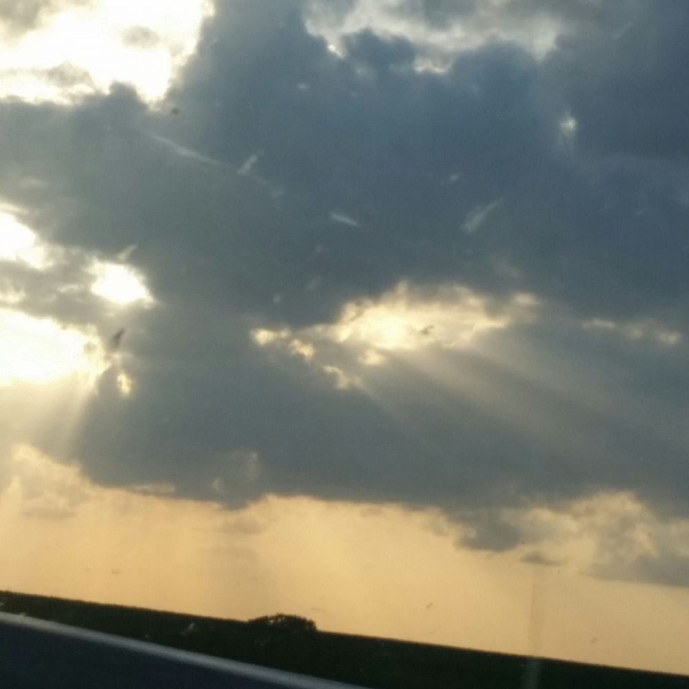 Meet your Posher, Trisha